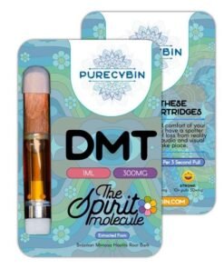 DMT .5ml Purecybin